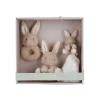 Little Dutch Caja de Regalo Baby Bunny de