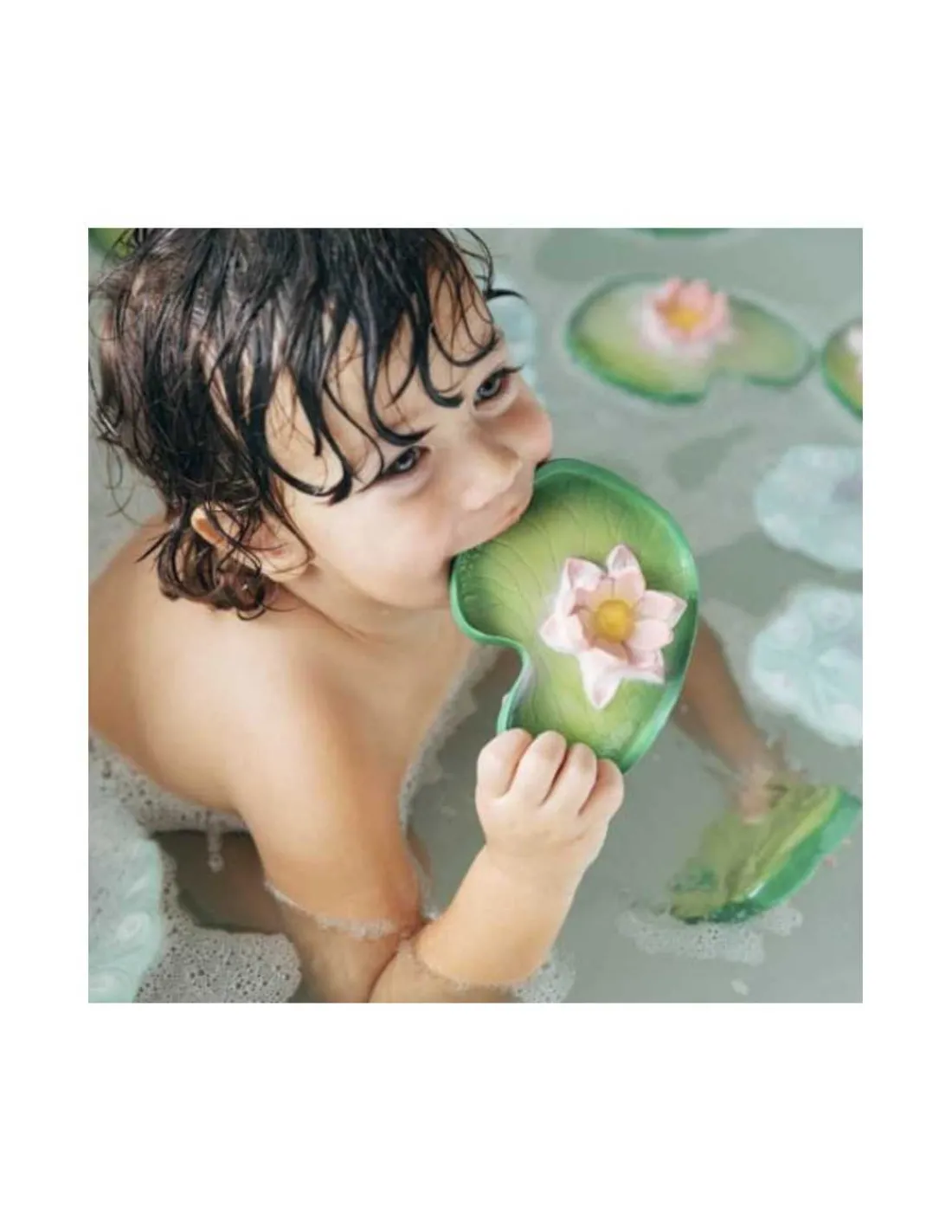 Oli&Carol Juguete para Baño y Mordedor Water Lily de