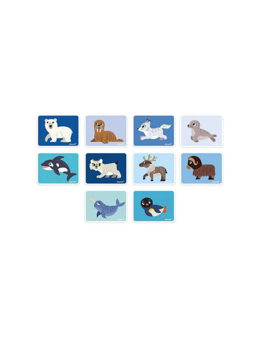 Janod Magneti'book Animales Polares de
