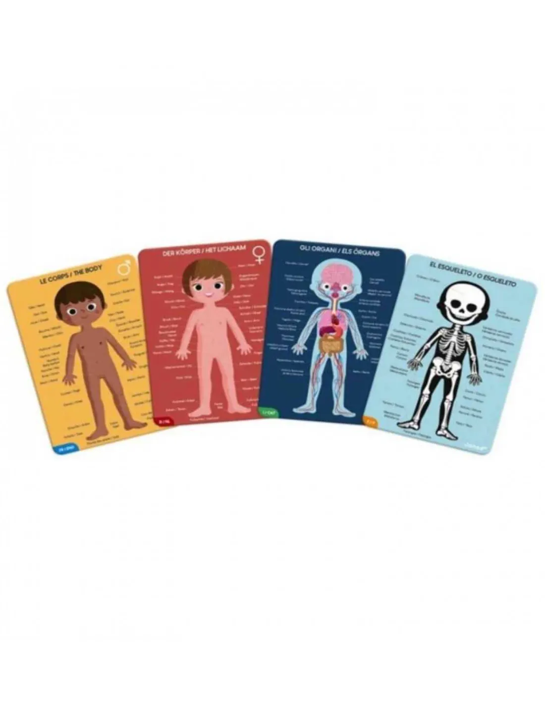 Janod Puzzle Educativo Cuerpo Humano