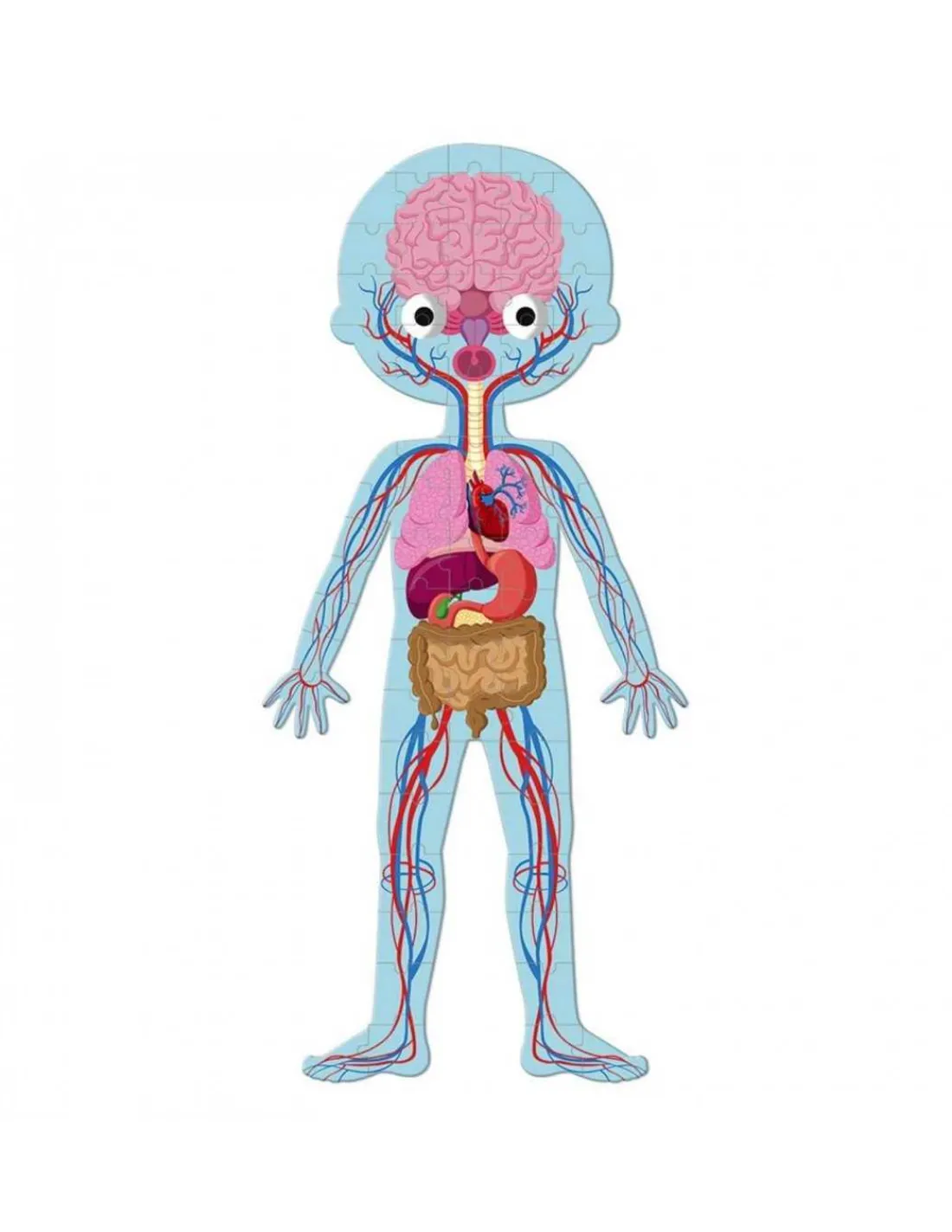 Janod Puzzle Educativo Cuerpo Humano