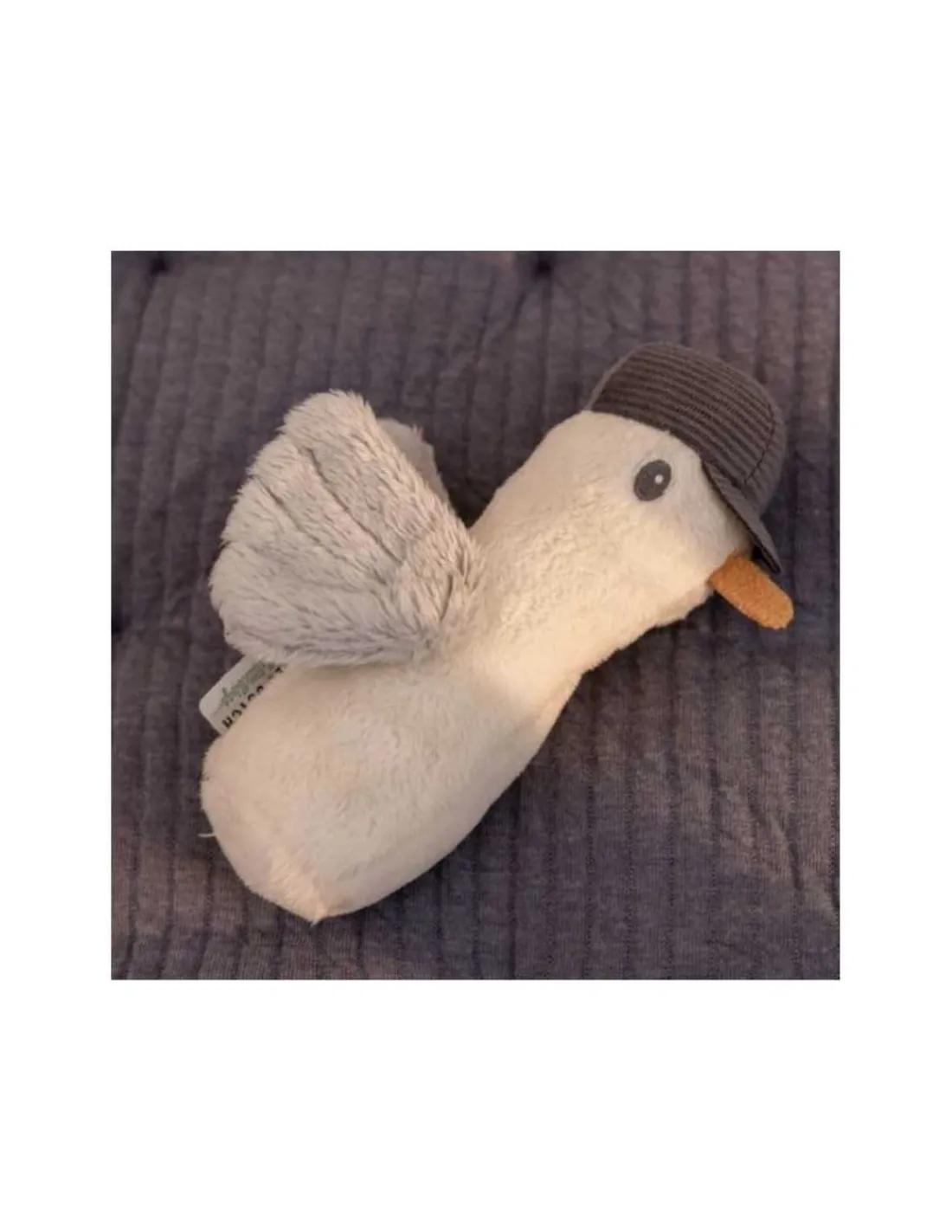 Little Dutch Sonajero Gaviota sailors bay de