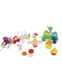 Janod Tren Gigante Multicolor Zigolos de